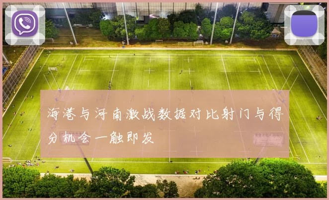 海港与河南激战数据对比射门与得分机会一触即发
